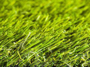 namgrass-green-motion