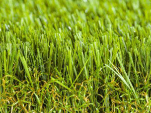 namgrass-green-envie