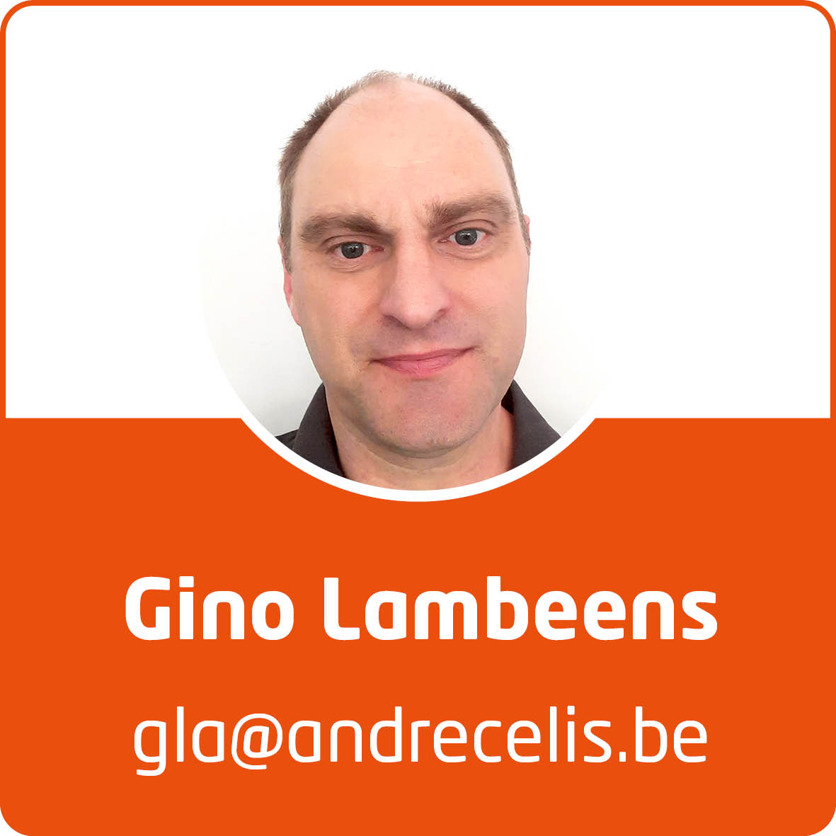Gino-Lambeens