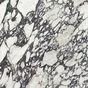Xtone-CalacattaViola-Poli300x300